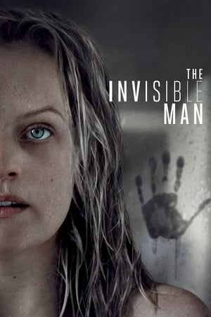 The Invisible Man (2020) Hindi (ORG) Dual Audio | 4K Ultra HD BluRay [1GB]