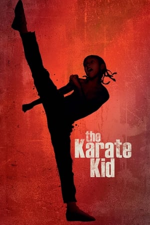 The Karate Kid 2010 Hindi Dubbed | 4K Ultra HD Bluray 1GB Movie