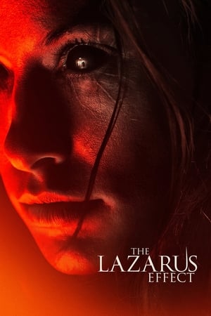 The Lazarus Effect (2015) Hindi Dual Audio | 4K Ultra HD BluRay [800MB]