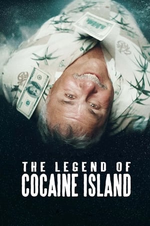 The Legend of Cocaine Island (2019) Hindi Dubbed | 4K Ultra HD Web-DL [860MB]