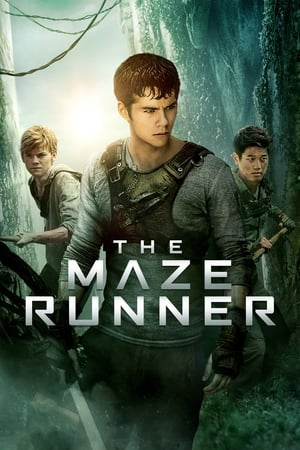 The Maze Runner (2014) Hindi Dual Audio | 4K Ultra HD BluRay [1.1GB]