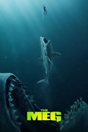 The Meg (2018) Hindi (Org) Dual Audio | 4K Ultra HD BluRay 350MB