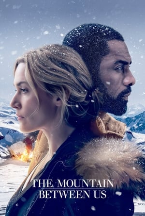 The Mountain Between Us 2017 Dual Audio Hindi | 4K Ultra HD Bluray 350MB