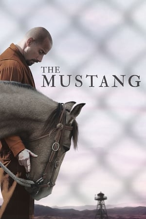 The Mustang (2019) Hindi Dual Audio | 4K Ultra HD BluRay [900MB]