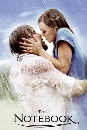 The Notebook 2004 Dual Audio Hindi Full Movie | 4K Ultra HD BRRip - 1GB
