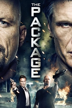 The Package (2013) Hindi Dual Audio | 4K Ultra HD HDRip 350MB