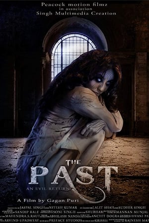 The Past 2018 Hindi Movie | 4K Ultra HD HDRip - [350MB]