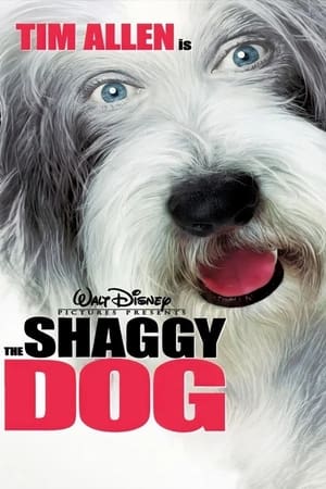 The Shaggy Dog (2006) Hindi Dual Audio | 4K Ultra HD BluRay 300MB
