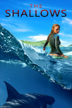 The Shallows 2016 Dual Audio (Hindi) | 4K Ultra HD [1GB]