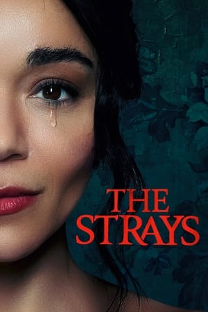The Strays 2023 Hindi Dual Audio HDRip | 4K Ultra HD – 480p