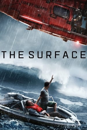The Surface (2014) Hindi Dual Audio | 4K Ultra HD Web-DL [800MB]