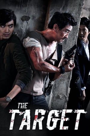 The Target (2014) Hindi Dual Audio | 4K Ultra HD Bluray 300MB