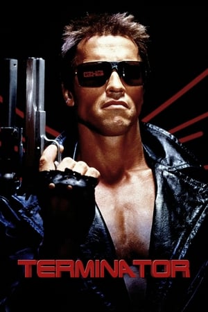 The Terminator (1984) Hindi Dual Audio | 4K Ultra HD BluRay 380MB