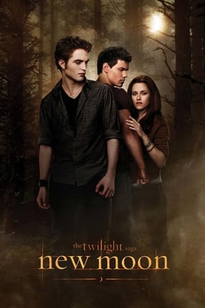 The Twilight Saga New Moon (2009) Hindi Dual Audio Bluray | 4K Ultra HD [1.0GB] Download