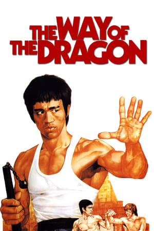 The Way of the Dragon (1972) Hindi Dual Audio | 4K Ultra HD BluRay 300MB