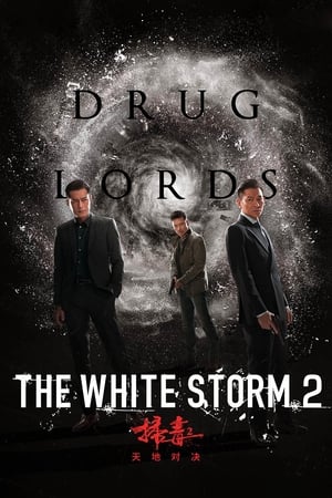 The White Storm 2: Drug Lords (2019) Hindi (Org) | 4K Ultra HD HDRip 300MB