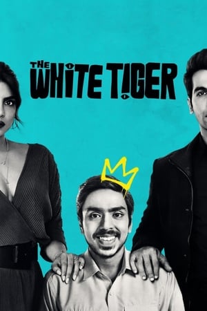 The White Tiger (2021) Hindi Movie | 4K Ultra HD HDRip – [370MB]