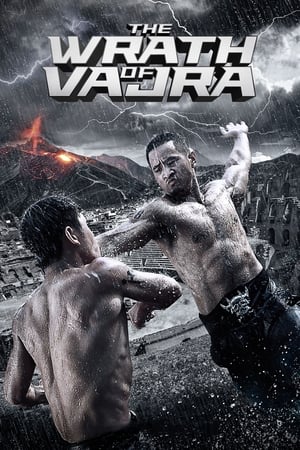 The Wrath of Vajra (2013) Hindi Dual Audio | 4K Ultra HD BluRay 350MB