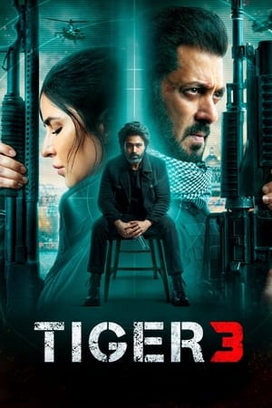 Tiger 3 2023 Hindi (ORG) Web-DL | 4K Ultra HD – 480p