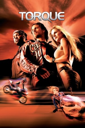 Torque 2004 Hindi Dual Audio BRRip | 4K Ultra HD [600MB] Download