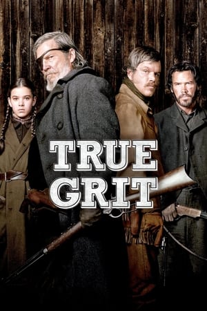 True Grit (2010) Hindi Dual Audio | 4K Ultra HD BluRay [950MB]