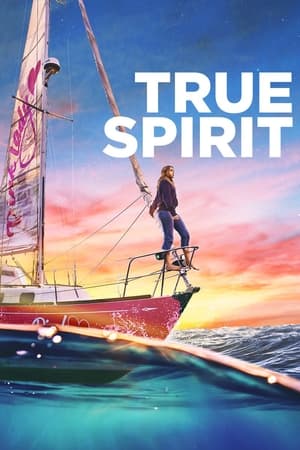 True Spirit (2023) Hindi Dual Audio HDRip | 4K Ultra HD – 480p