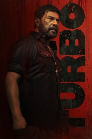 Turbo 2024 Hindi Dual Audio HDRip | 4K Ultra HD – 720p – 480p