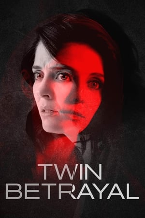 Twin Betrayal (2018) Hindi Dual Audio | 4K Ultra HD HDRip 390MB
