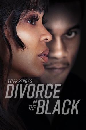 Tyler Perry’s Divorce in the Black (2024) Hindi Dual Audio HDRip | 4K Ultra HD – 720p – 480p