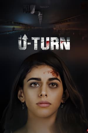 U-Turn (2023) Hindi HDRip | 4K Ultra HD | 480p