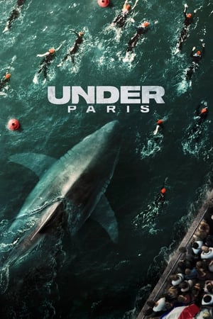 Under Paris 2024 Hindi Dual Audio HDRip | 4K Ultra HD – 720p – 480p