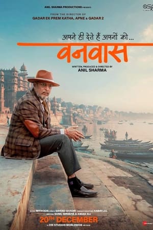 Vanvaas (2024) Hindi (DD5.1) WEB-DL | 4K Ultra HD