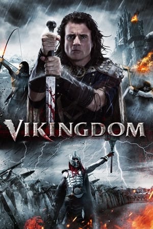 Vikingdom 2013 Hindi Dual Audio | 4K Ultra HD BluRay 380MB