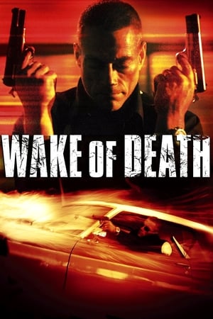 Wake of Death 2004 Hindi Dual Audio | 4K Ultra HD BluRay 300MB