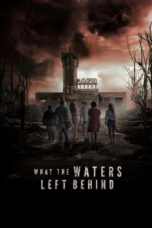 What the Waters Left Behind 2017 Hindi Dual Audio HDRip | 4K Ultra HD – 480p
