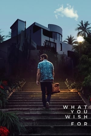 What You Wish For 2023 Dual Audio Hindi HDRip | 4K Ultra HD – 480p – 1080p