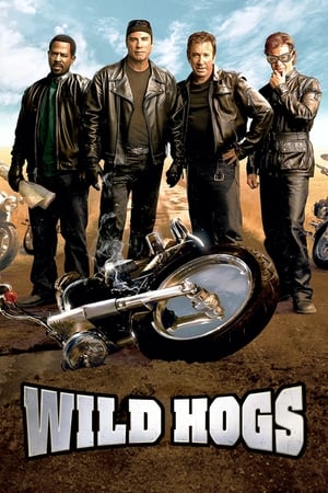 Wild Hogs (2007) Hindi Dual Audio | 4K Ultra HD BluRay 340MB