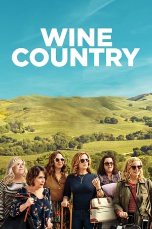 Wine Country (2019) Hindi Dual Audio | 4K Ultra HD Web-DL [1GB]