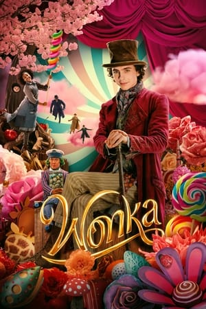 Wonka 2023 Hindi (HQ-Dub) Dual Audio HDTS | 4K Ultra HD – 480p