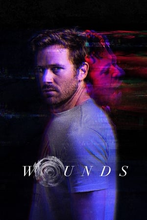 Wounds (2019) Hindi Dual Audio | 4K Ultra HD BluRay [930MB]