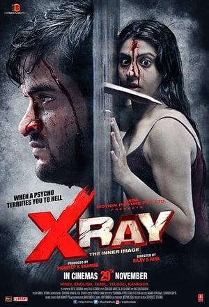 X Ray The Inner Image 2019 Hindi Movie | 4K Ultra HD HDRip x264 [900MB]