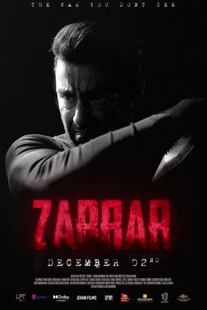 Zarrar (2022) Urdu Movie Pre-DVDRip | 4K Ultra HD – 480p