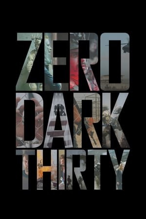 Zero Dark Thirty 2012 Hindi Dual Audio | 4K Ultra HD BluRay 450MB