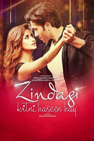 Zindagi Kitni Haseen Hay (2016) Pakistani Movie | 4K Ultra HD HDRip x264 [980MB]