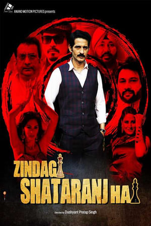 Zindagi Shatranj Hai (2023) Hindi Movie Pre-DVDRip | 4K Ultra HD – 480p